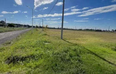 VENTA LOTE 300m2 – CAMPOS DEL OESTE, ALVEAR