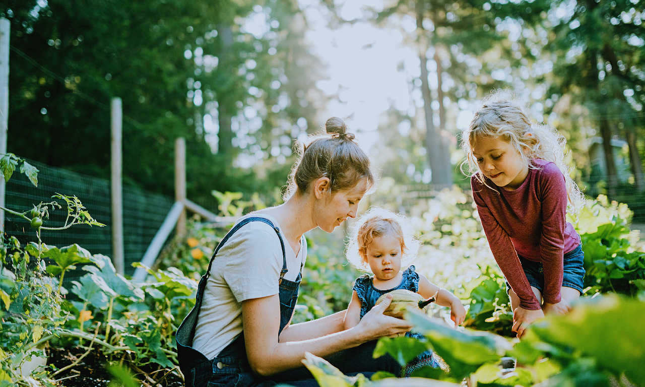 Decoración de jardines: ideas fáciles para embellecerlo